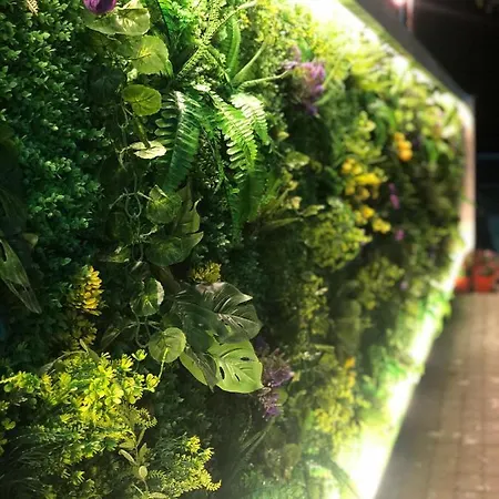 Qetesia-te Indriti 4* Velipojë