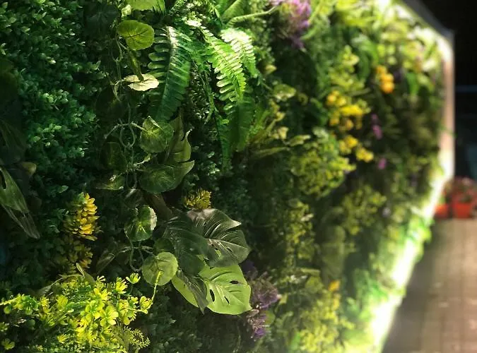 Qetesia-te Indriti 4* Велипойе